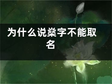  为什么说燊字不能取名 