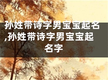 孙姓带诗字男宝宝起名,孙姓带诗字男宝宝起名字