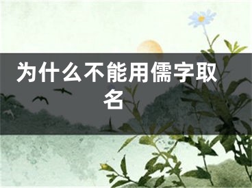  为什么不能用儒字取名 