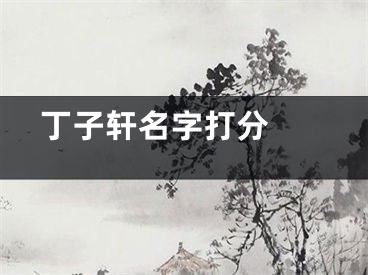  丁子轩名字打分 