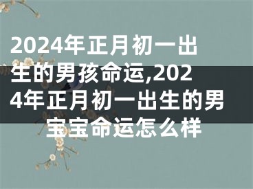 2024年正月初一出生的男孩命运,2024年正月初一出生的男宝宝命运怎么样