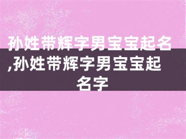 孙姓带辉字男宝宝起名,孙姓带辉字男宝宝起名字