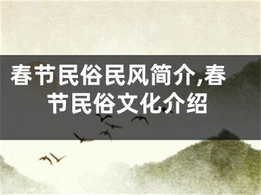 春节民俗民风简介,春节民俗文化介绍