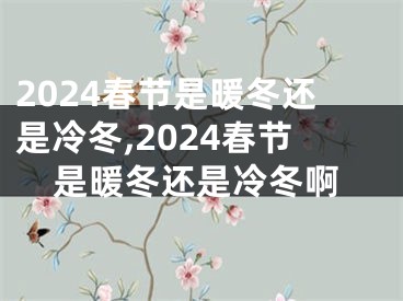 2024春节是暖冬还是冷冬,2024春节是暖冬还是冷冬啊