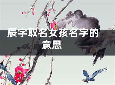  辰字取名女孩名字的意思 