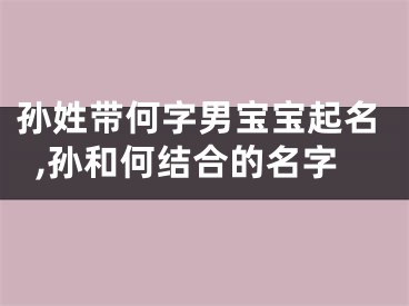 孙姓带何字男宝宝起名,孙和何结合的名字