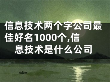 信息技术两个字公司最佳好名1000个,信息技术是什么公司