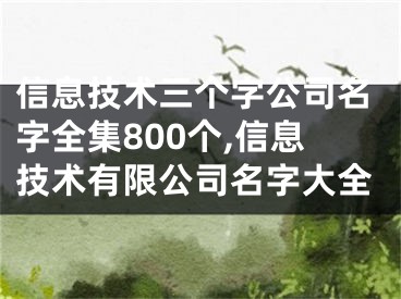 信息技术三个字公司名字全集800个,信息技术有限公司名字大全