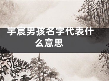  宇宸男孩名字代表什么意思 