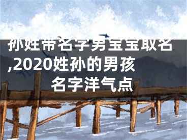 孙姓带名字男宝宝取名,2020姓孙的男孩名字洋气点