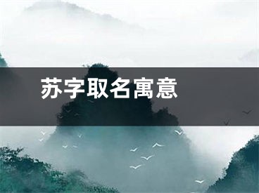  苏字取名寓意 