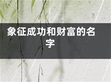  象征成功和财富的名字 