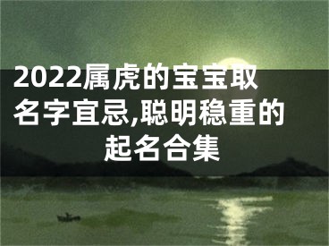 2022属虎的宝宝取名字宜忌,聪明稳重的起名合集