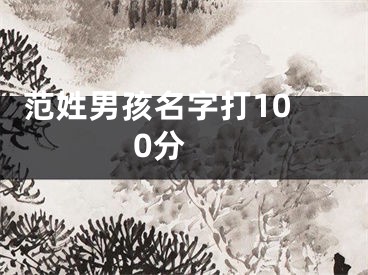  范姓男孩名字打100分 