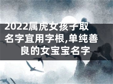 2022属虎女孩子取名字宜用字根,单纯善良的女宝宝名字