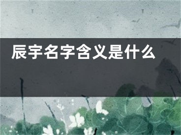  辰宇名字含义是什么 