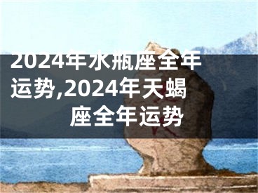 2024年水瓶座全年运势,2024年天蝎座全年运势