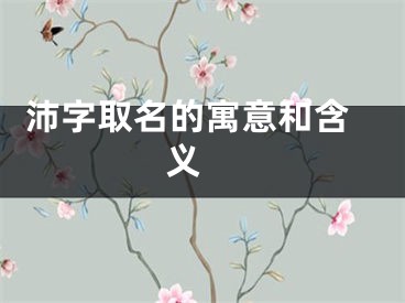  沛字取名的寓意和含义 