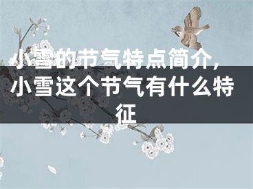 小雪的节气特点简介,小雪这个节气有什么特征