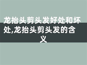 龙抬头剪头发好处和坏处,龙抬头剪头发的含义