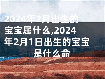 2024年2月出生的宝宝属什么,2024年2月1日出生的宝宝是什么命