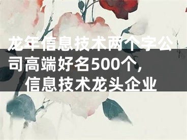 龙年信息技术两个字公司高端好名500个,信息技术龙头企业