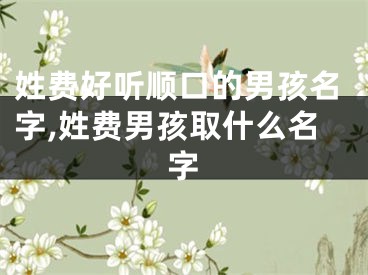 姓费好听顺口的男孩名字,姓费男孩取什么名字