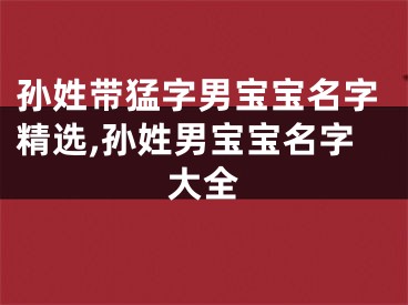 孙姓带猛字男宝宝名字精选,孙姓男宝宝名字大全