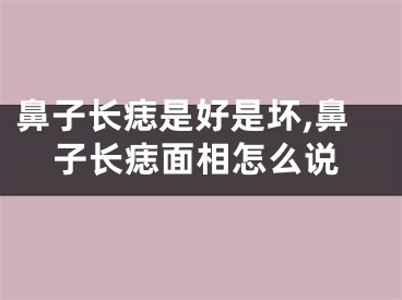 鼻子长痣是好是坏,鼻子长痣面相怎么说