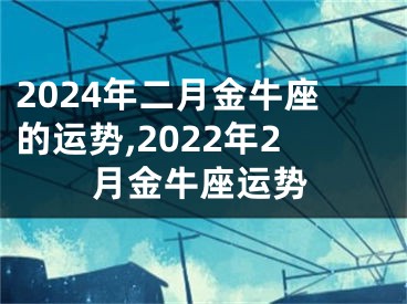 2024年二月金牛座的运势,2022年2月金牛座运势