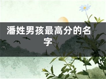  潘姓男孩最高分的名字 