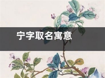  宁字取名寓意 