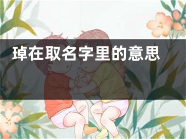  琸在取名字里的意思 