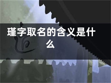  瑾字取名的含义是什么 