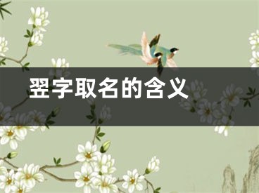  翌字取名的含义 