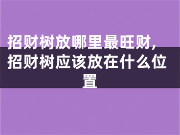 招财树放哪里最旺财,招财树应该放在什么位置