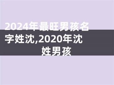 2024年最旺男孩名字姓沈,2020年沈姓男孩