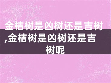 金桔树是凶树还是吉树,金桔树是凶树还是吉树呢