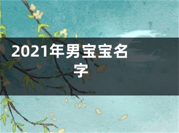  2021年男宝宝名字 