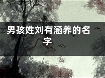  男孩姓刘有涵养的名字 