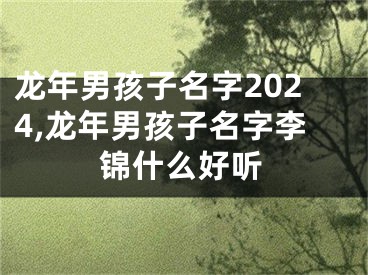 龙年男孩子名字2024,龙年男孩子名字李锦什么好听