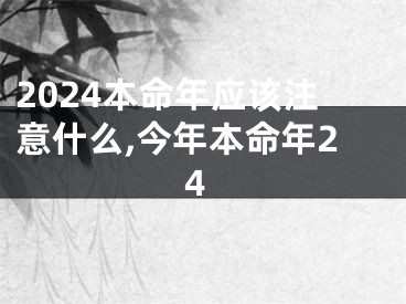 2024本命年应该注意什么,今年本命年24