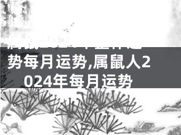 属鼠2024年整体运势每月运势,属鼠人2024年每月运势