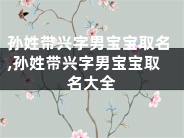 孙姓带兴字男宝宝取名,孙姓带兴字男宝宝取名大全