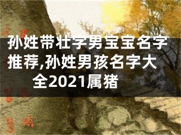 孙姓带壮字男宝宝名字推荐,孙姓男孩名字大全2021属猪