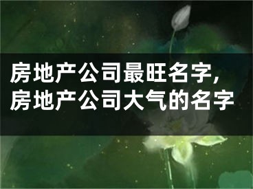 房地产公司最旺名字,房地产公司大气的名字