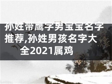 孙姓带鹰字男宝宝名字推荐,孙姓男孩名字大全2021属鸡