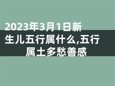 2023年3月1日新生儿五行属什么,五行属土多愁善感