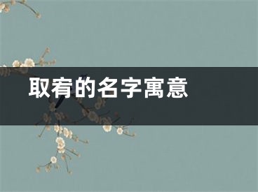  取宥的名字寓意 