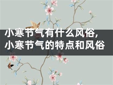 小寒节气有什么风俗,小寒节气的特点和风俗